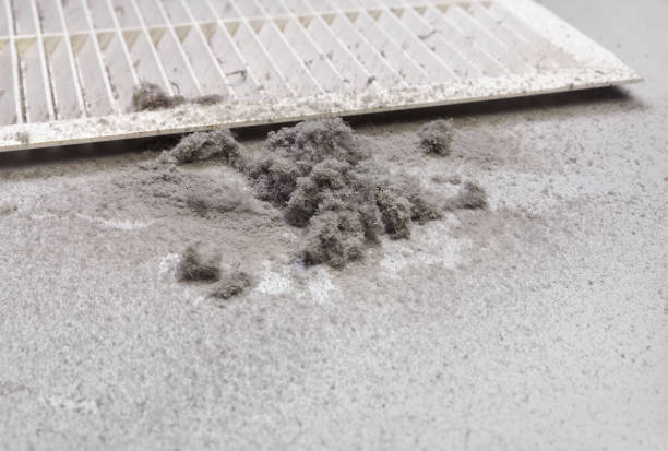 Best Air Duct Sanitizing Services  in Sparta, MO